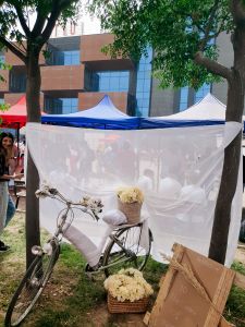 Tishk International University | Architecture Department