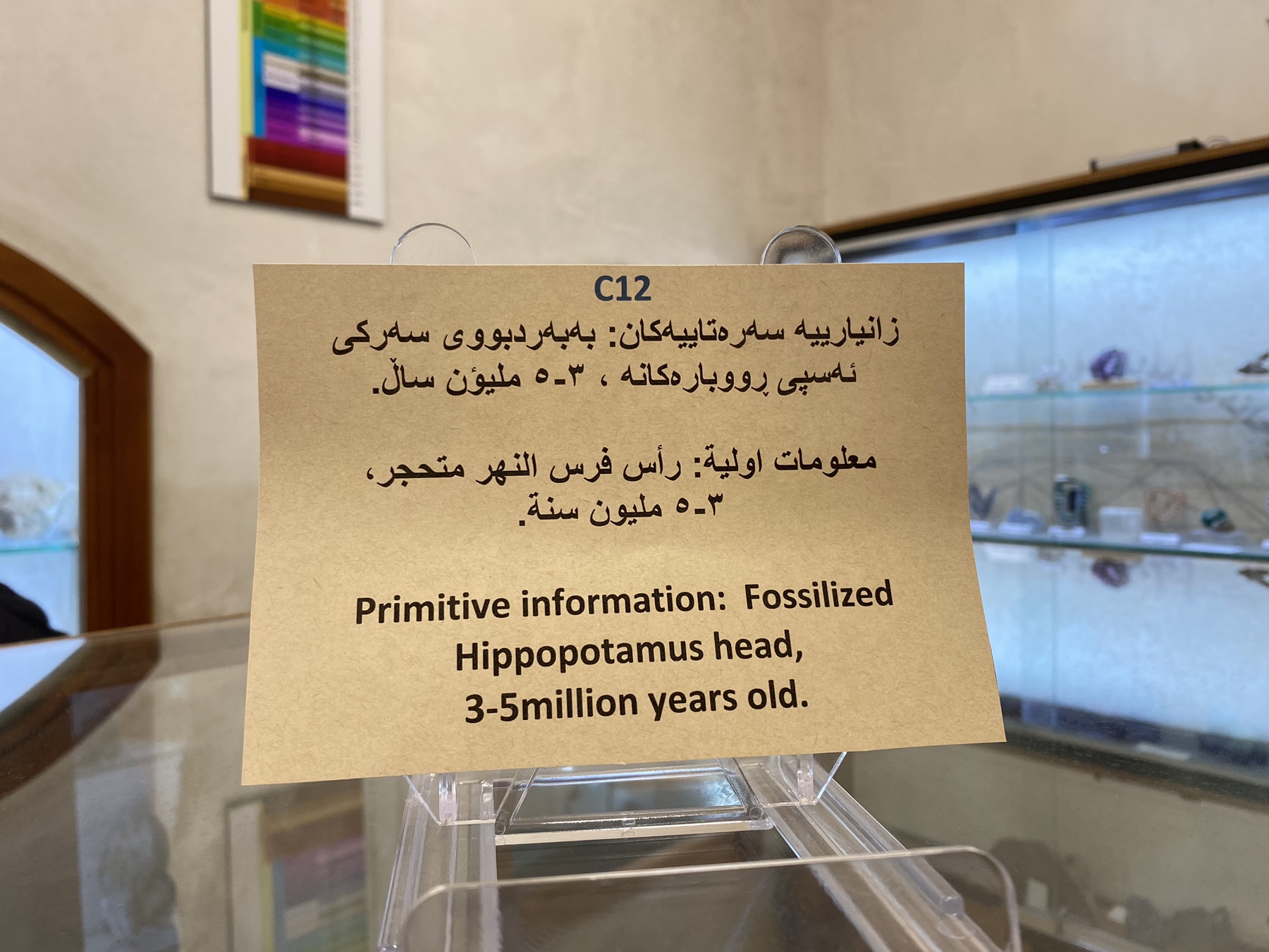 Tishk International University | petromining Department