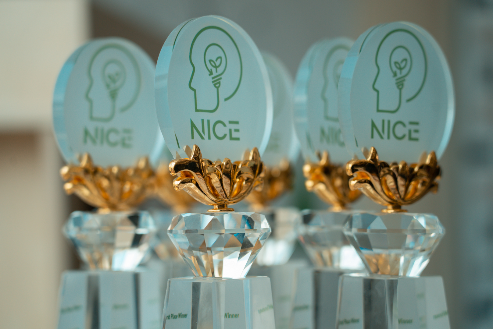 Tishk International University | Architecture Department