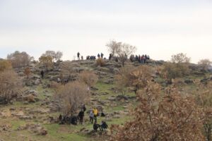 Tishk International University | Faculty of Engineering