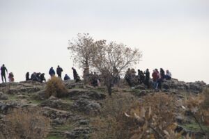 Tishk International University | Faculty of Engineering